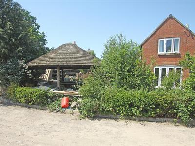 Picture 25